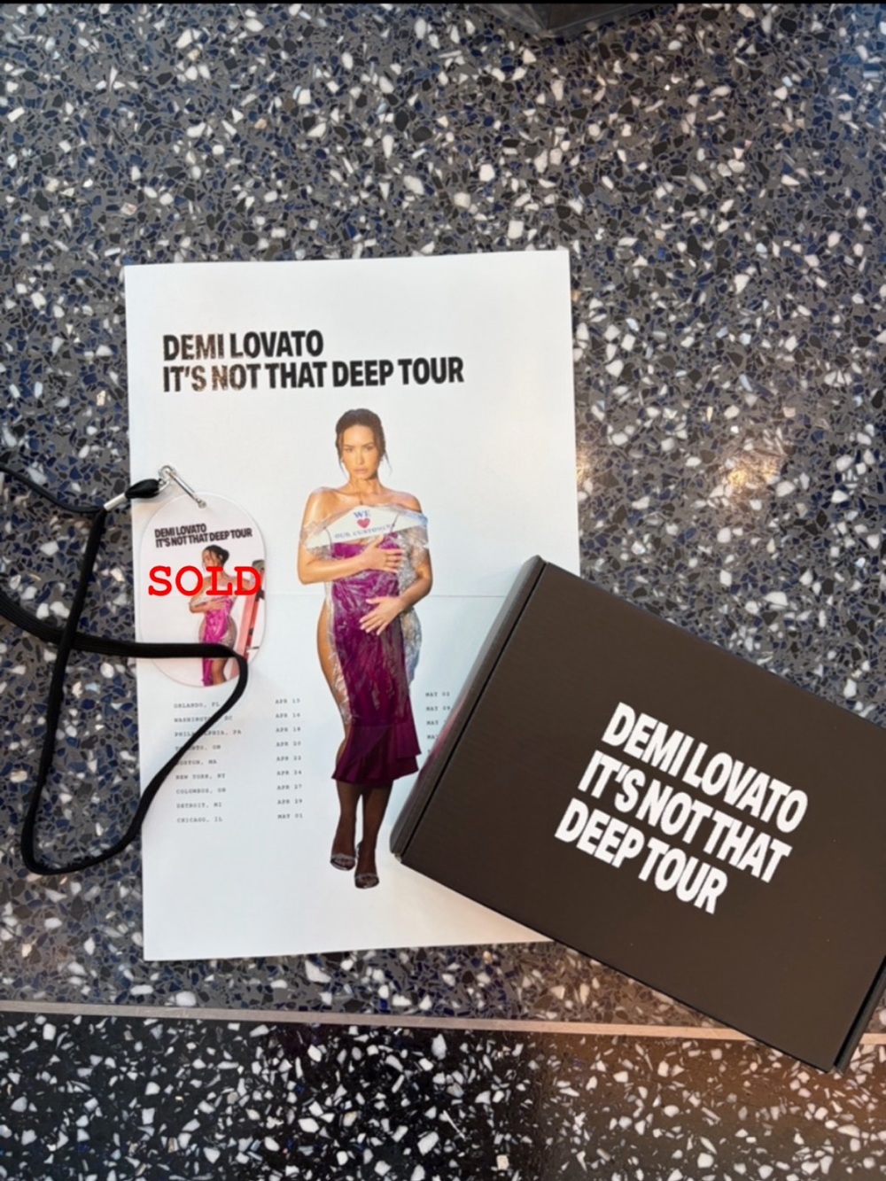 Demi Lovato VIP merch bundle